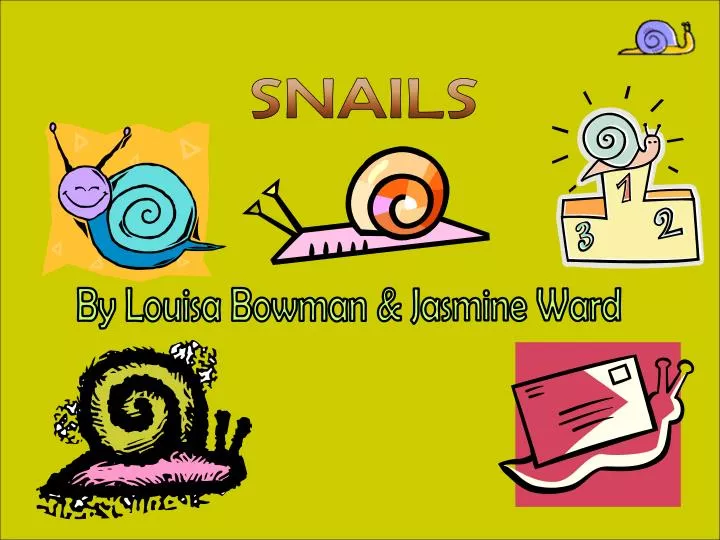 PPT - SNAILS PowerPoint Presentation, free download - ID:1254475