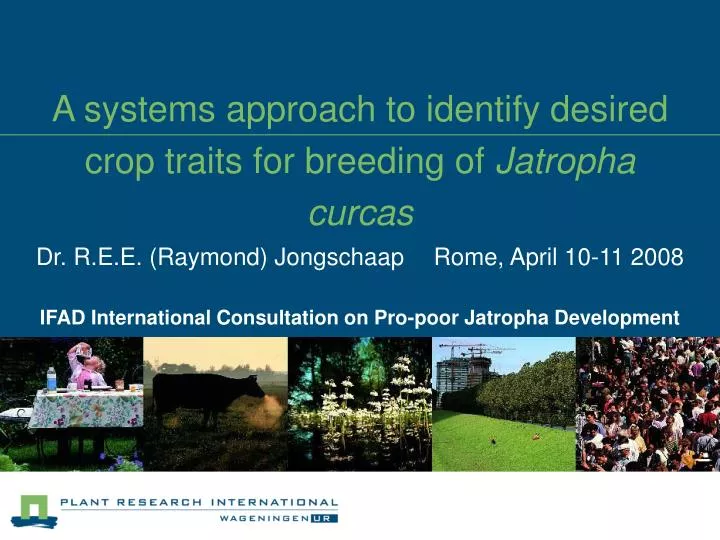 a systems approach to identify desired crop traits for breeding of jatropha curcas n.