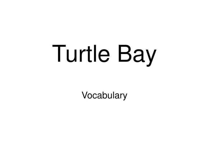 turtle bay n.