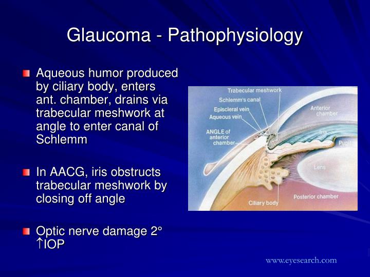 PPT - Ocular Emergencies PowerPoint Presentation - ID:1259257