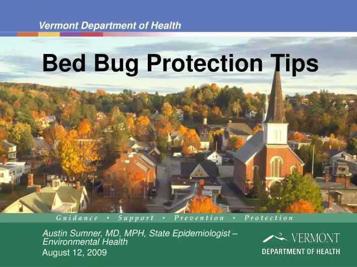 bed bug protection tips n.