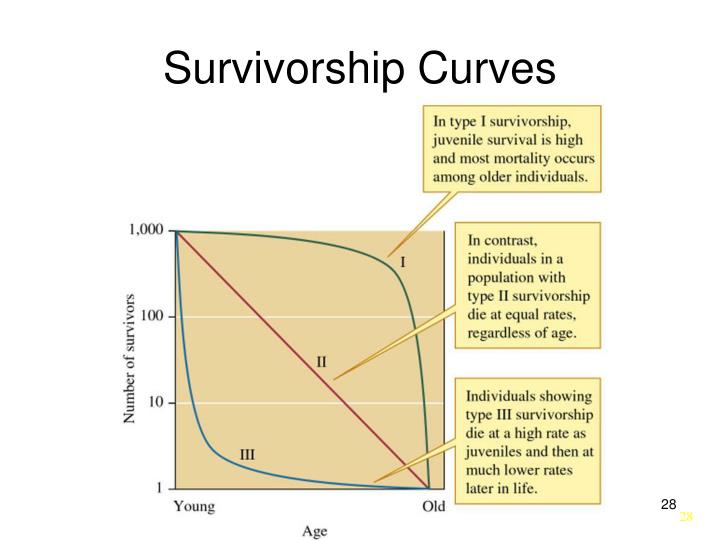 PPT - Population Dynamics PowerPoint Presentation - ID:1260387