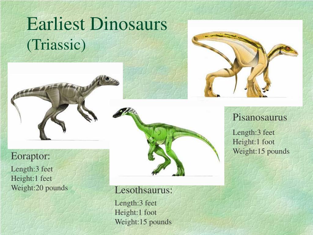 the earliest dinosaurs