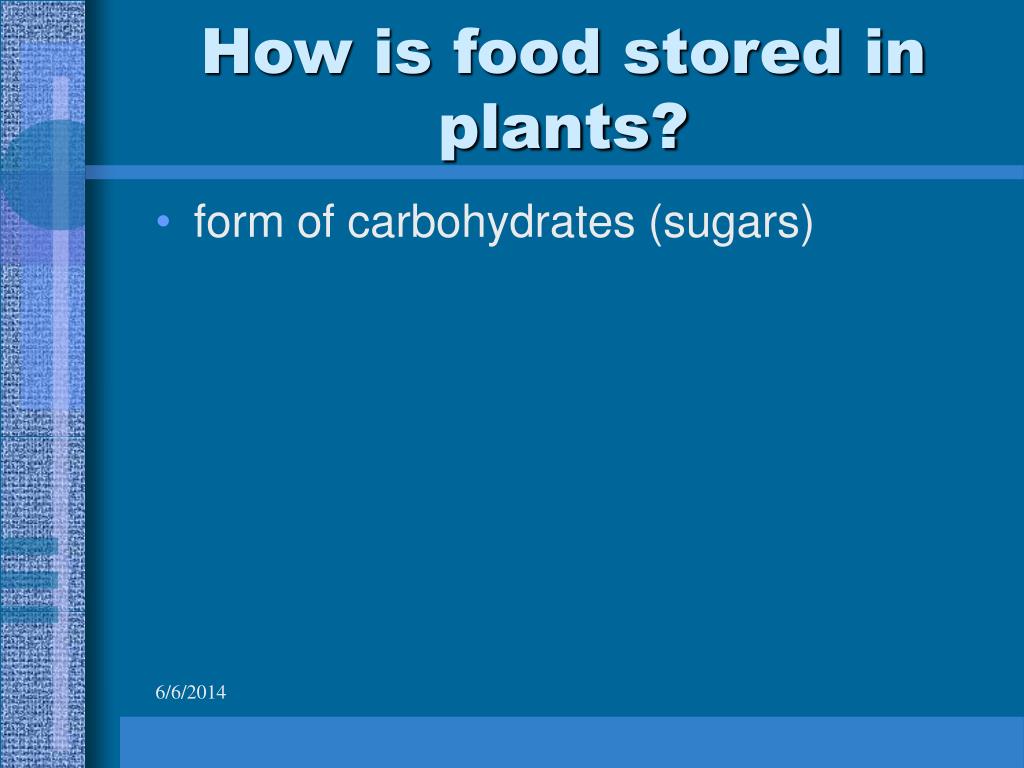 PPT Plant Life Cycles PowerPoint Presentation, free download ID1264814