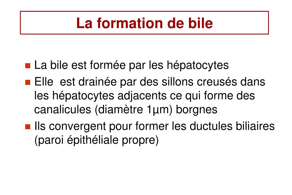 PPT Le foie & la bile PowerPoint Presentation, free download ID1266111