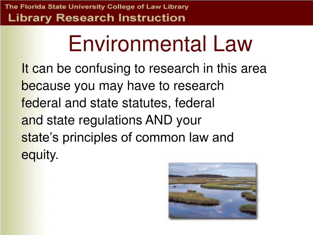 research topics for environmental law