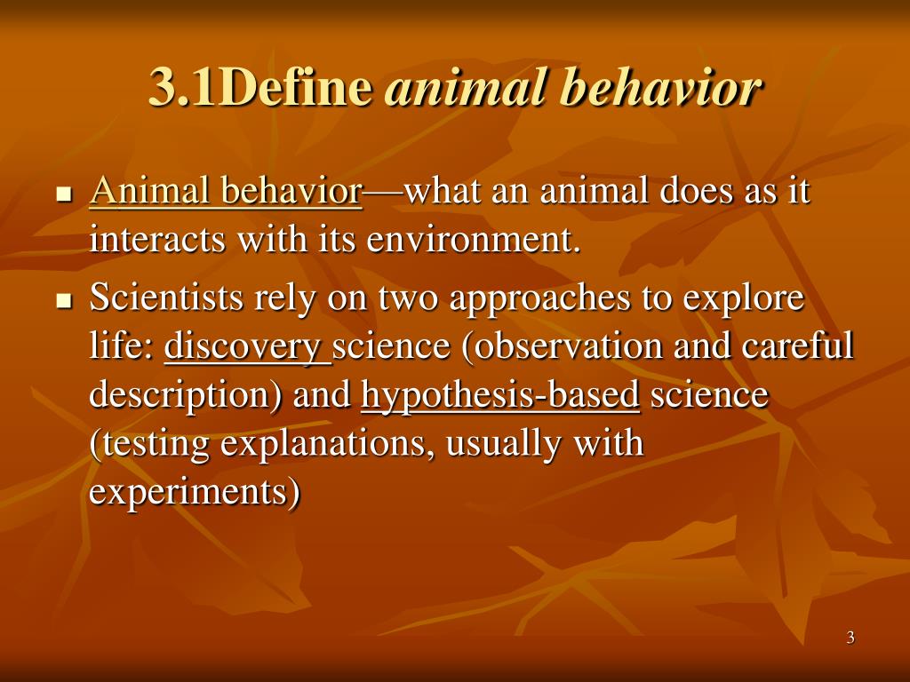 What Is The Study Of Animal Behavior Called