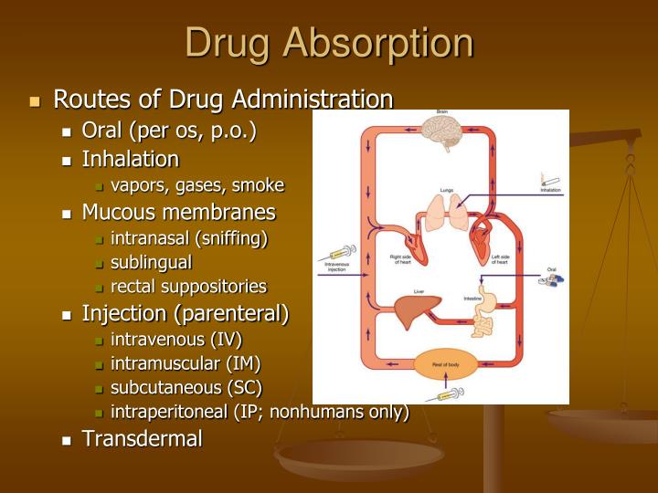 PPT Principles of Pharmacology & Pharmacodynamics
