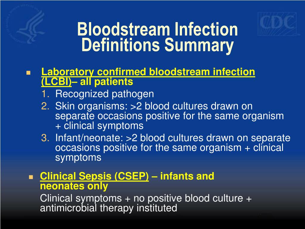 BLOODSTREAM definition and meaning