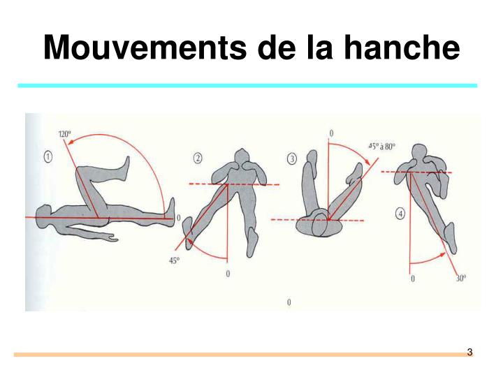 PPT Pathologie périarticulaire membre inférieur PowerPoint Presentation ID1269284