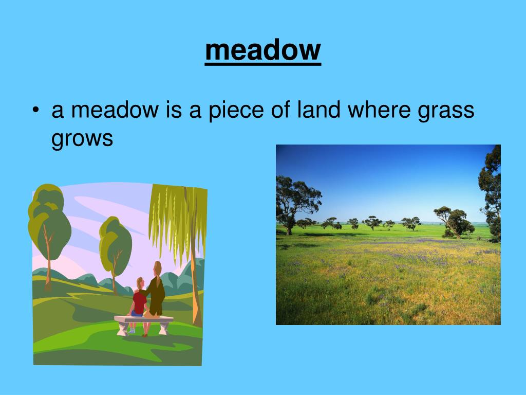 PPT Iris And Walter Vocabulary And Amazing Words PowerPoint 