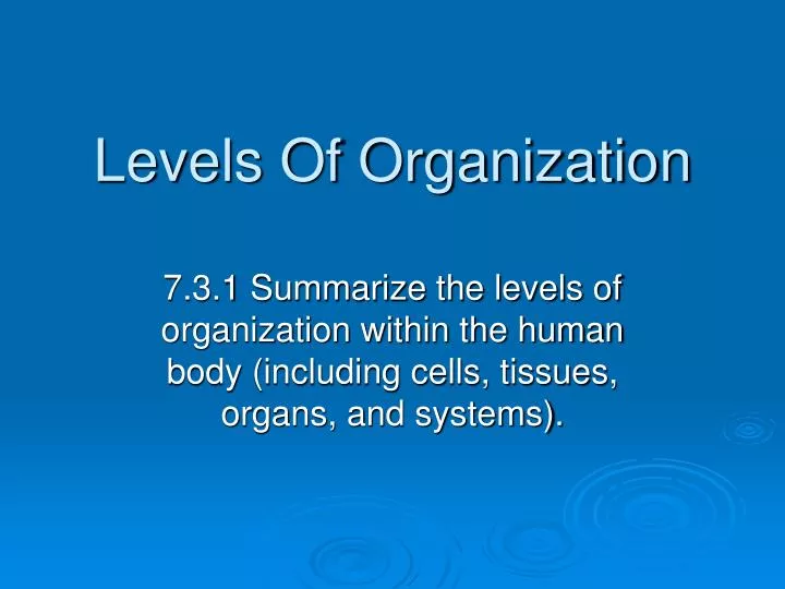 levels of organization n.