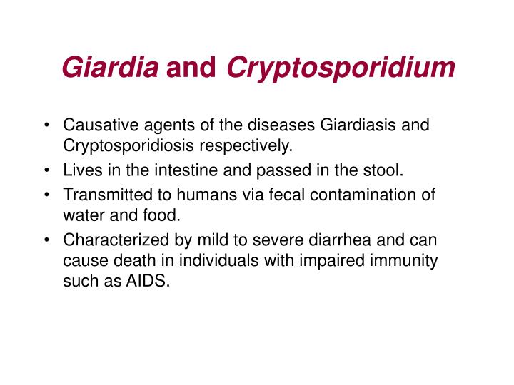 PPT Giardia & Cryptosporidium Protozoan Parasites PowerPoint