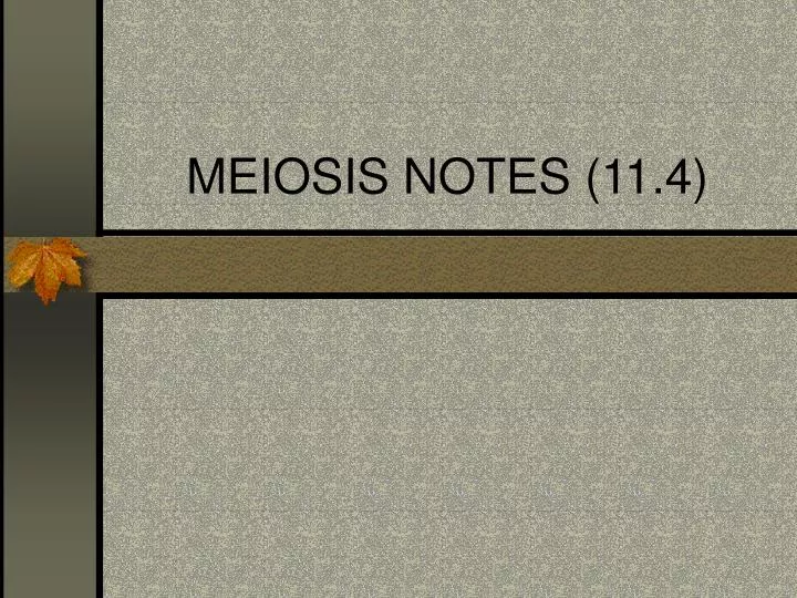 meiosis notes 11 4 n.