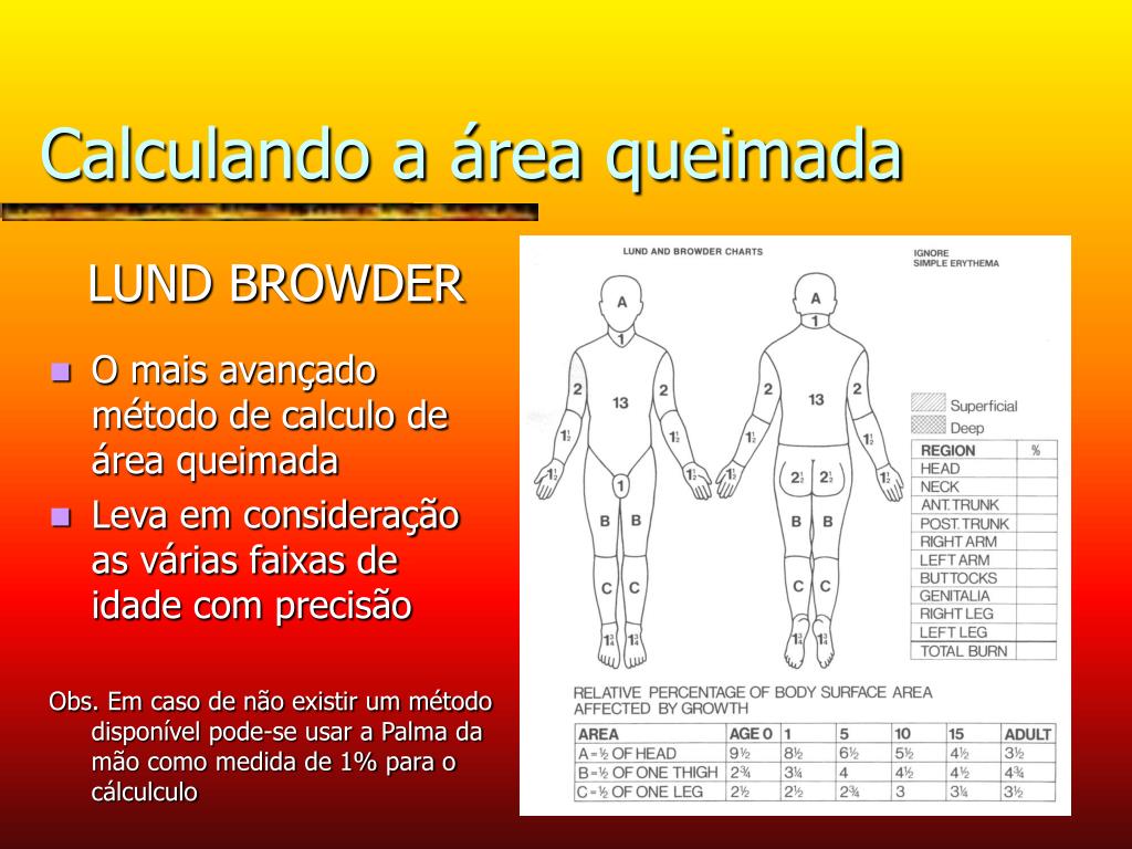 Queimaduras Regra Dos 9 LIBRAIN queimaduras-regra-dos-9-librain