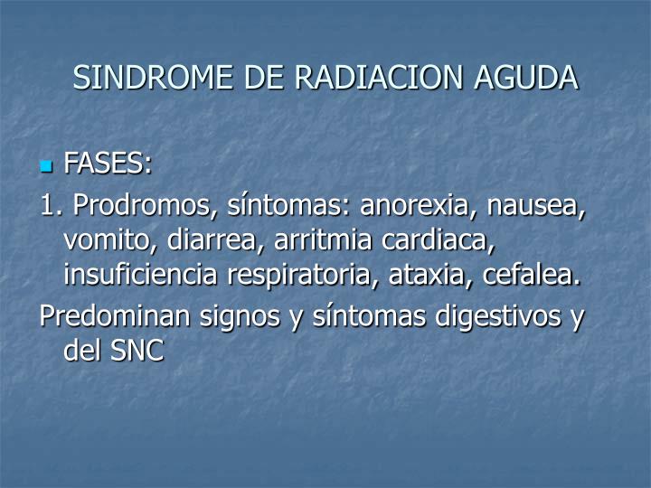 PPT - RADIACIONES IONIZANTES PowerPoint Presentation - ID:1271631