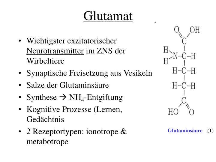 Was Ist Glutamat Einfach Erklärt www.slideserve.com