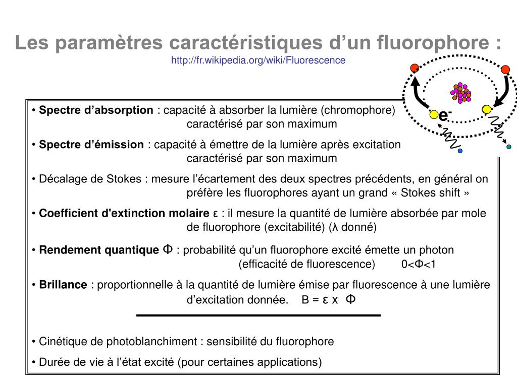 Fluorescéine : définition et explications