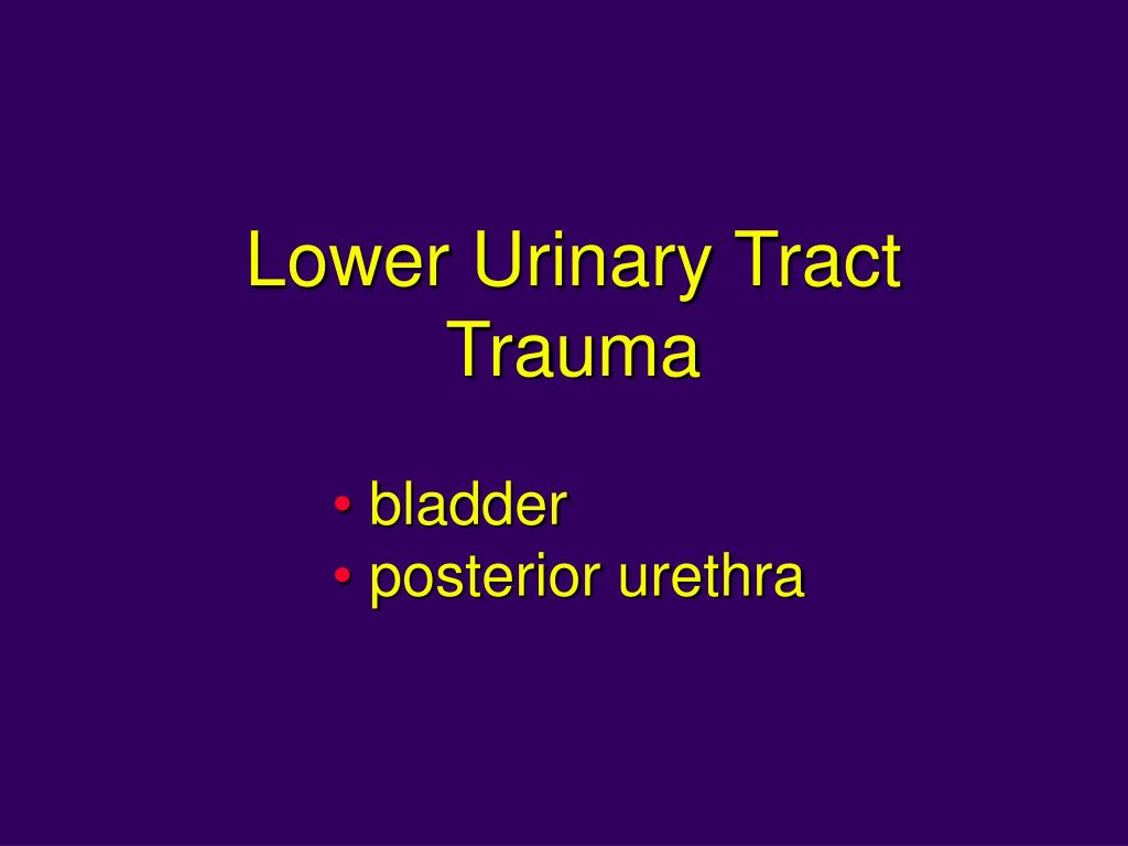Traumatic injury of the bladder and urethra Information