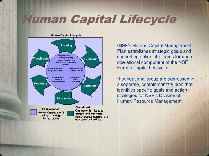 Ppt Human Capital Management Assessment Of Organizational Excellence Powerpoint Presentation 3143