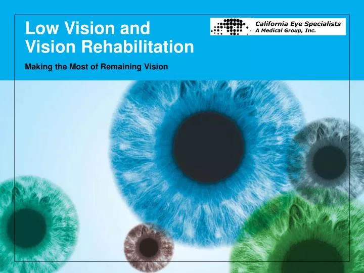low vision and vision rehabilitation n.