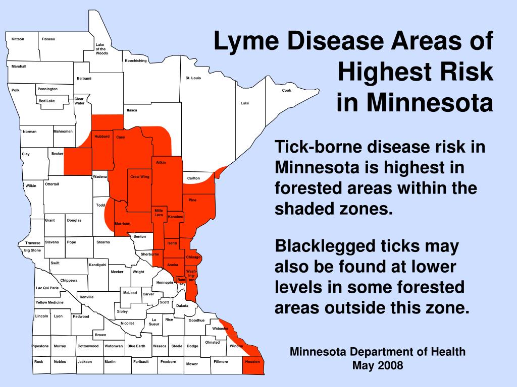 PPT What You Should Know About Lyme Disease and Other TickBorne Diseases PowerPoint