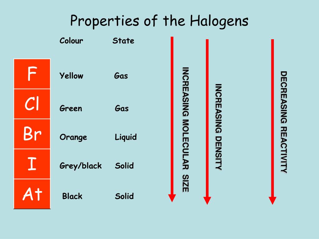 PPT - Group 7 – The Halogens PowerPoint Presentation, free download -  ID:1275374
