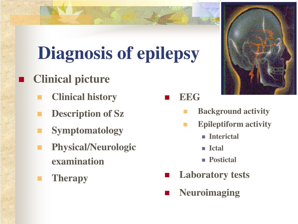 ppt-epilepsy-powerpoint-presentation-free-download-id-1276291