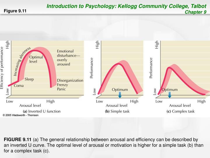 an overview of the sources of arousal motivation and emotional arousal an overview of the sources of arousal motivation and emotional arousal