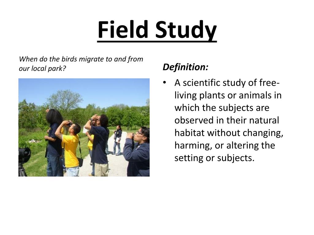 What Is A Field Study