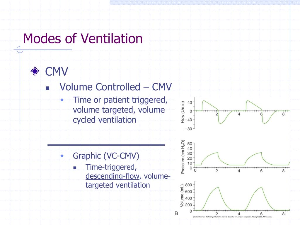 PPT - Principles of Mechanical Ventilation PowerPoint Presentation, free  download - ID:1280596