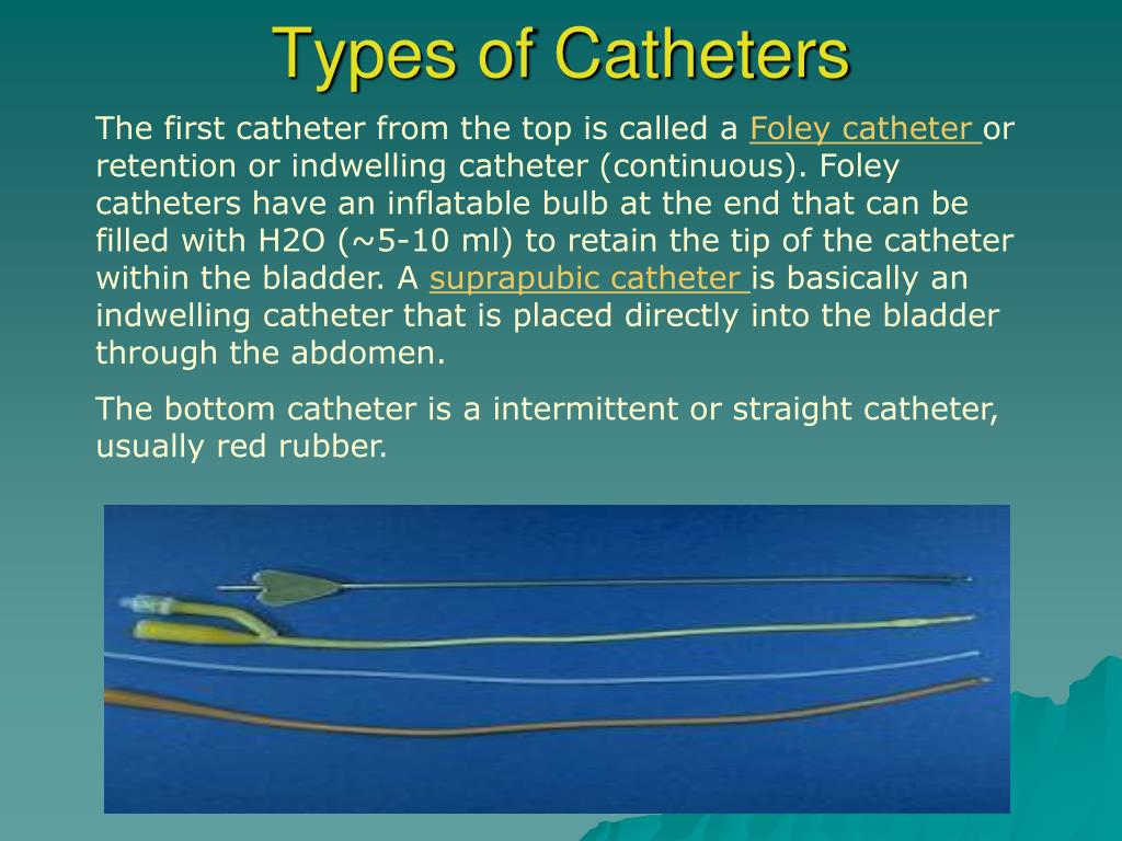 PPT - Urinary Catheterization PowerPoint Presentation, free download ...