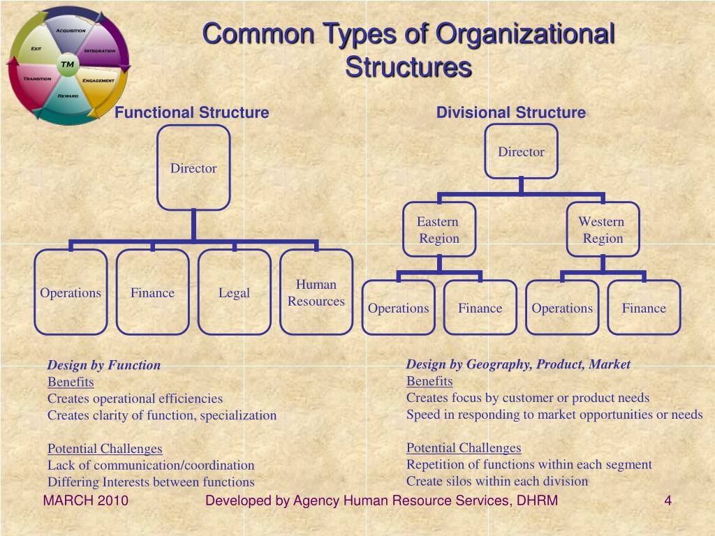 Different Types Of Organizational Structures