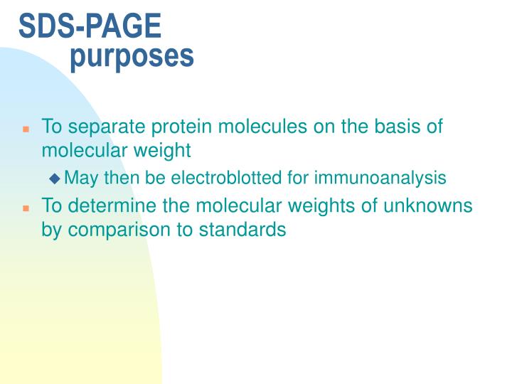 PPT SDSPAGE PowerPoint Presentation ID1282532