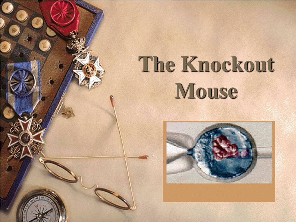 Ppt Transgenic Animals Knock Out Mice And Dolly Powerpoint Presentation Id 1284138
