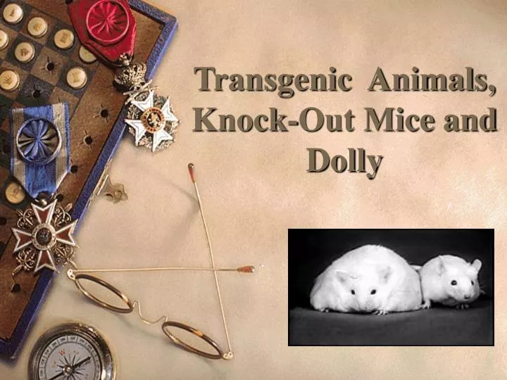 transgenic animals knock out mice and dolly n.