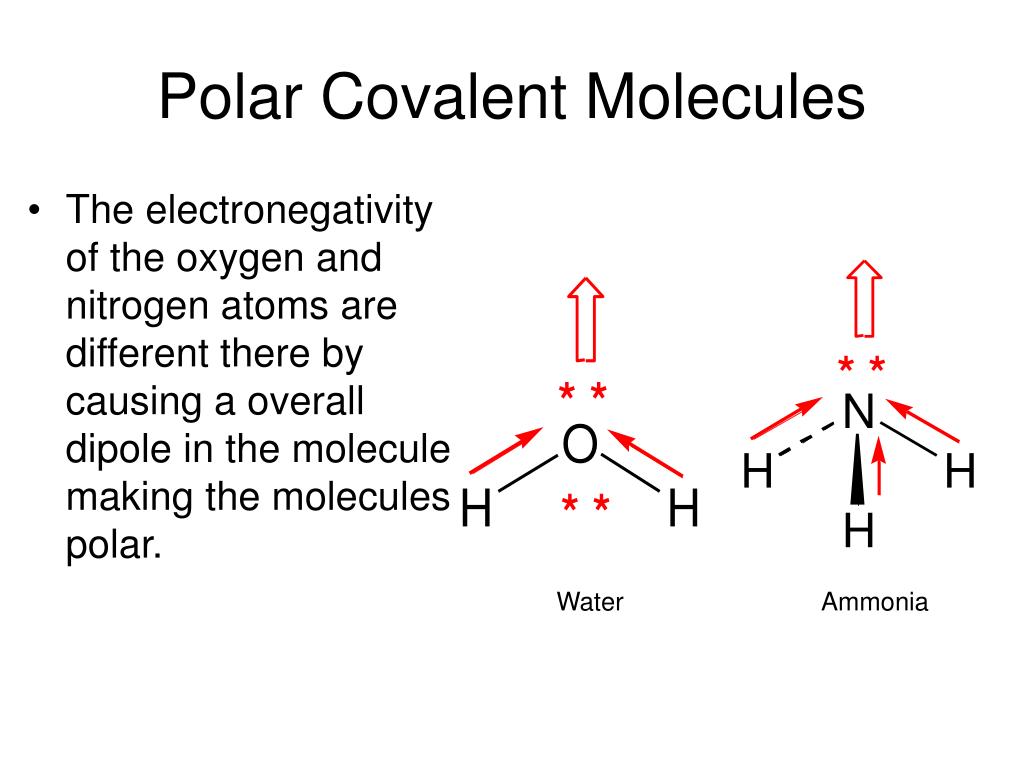Decide if the following molecules are polar or nonpolar. 