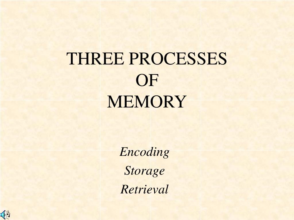 memory encoding storage retrieval