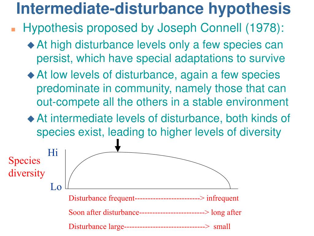intermediate disturbance hypothesis in a sentence