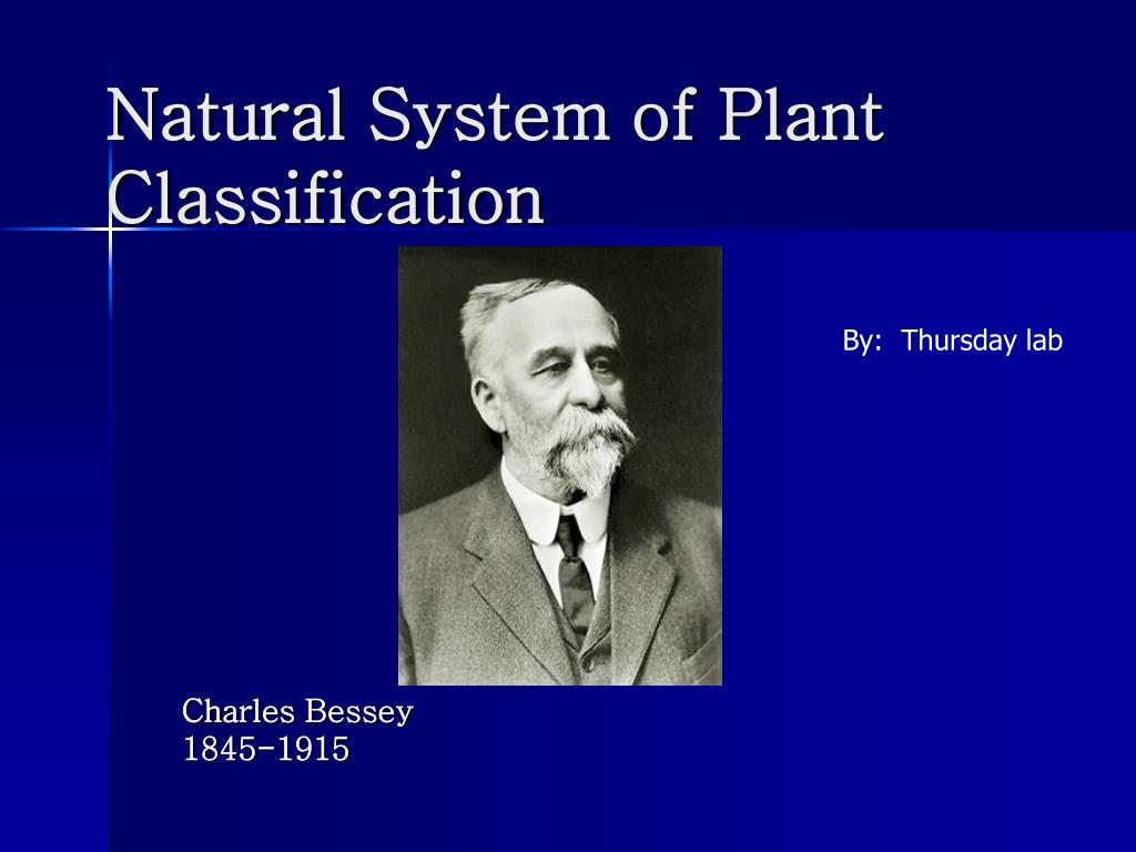 Ppt Natural System Of Plant Classification According To Charles Bessey By Ashley Beck