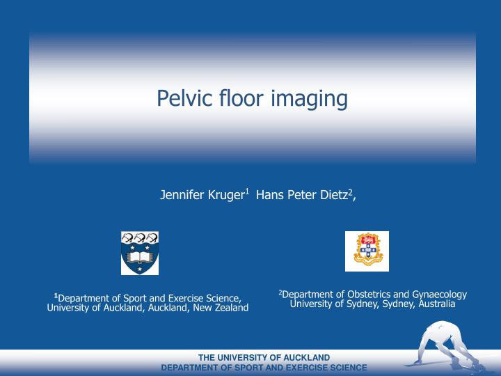 pelvic floor imaging n.