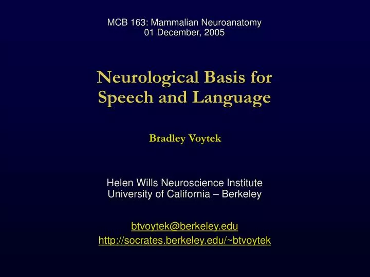 speech neurological definition