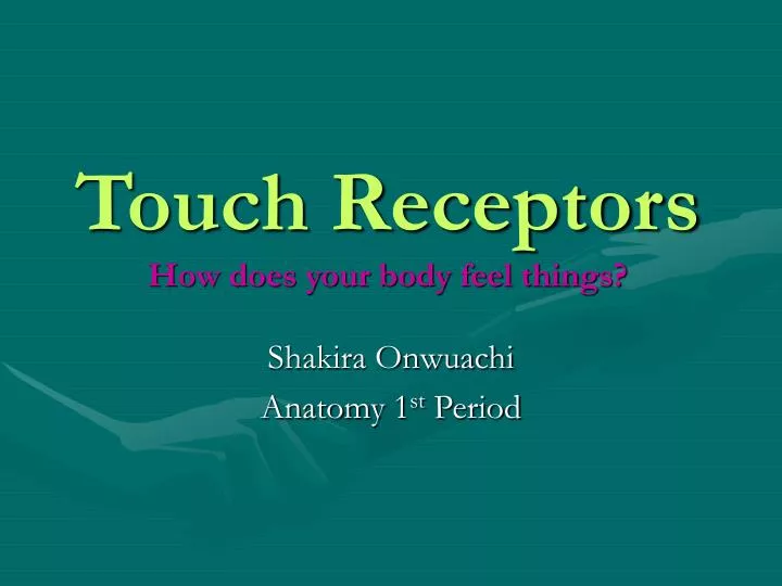 touch receptors how does your body feel things n.