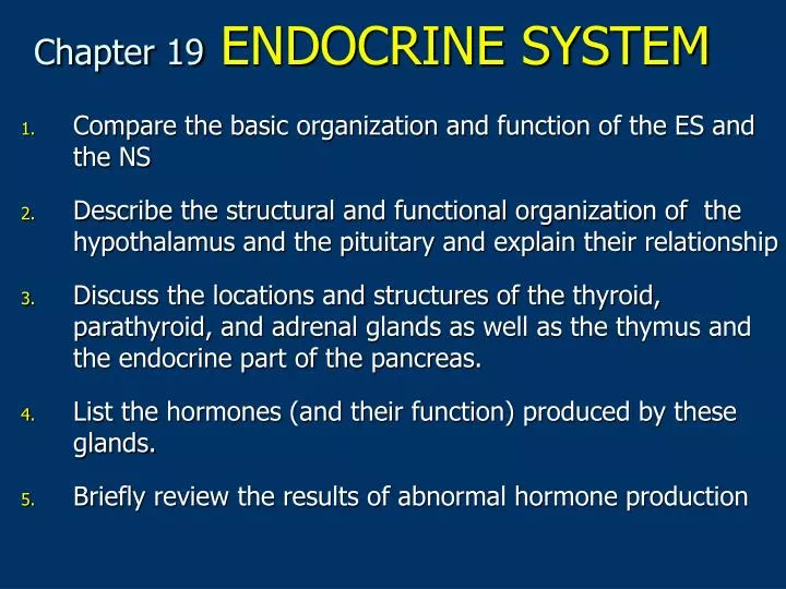 chapter 19 endocrine system n.