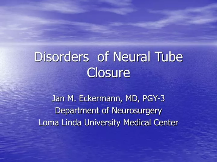 disorders of neural tube closure n.