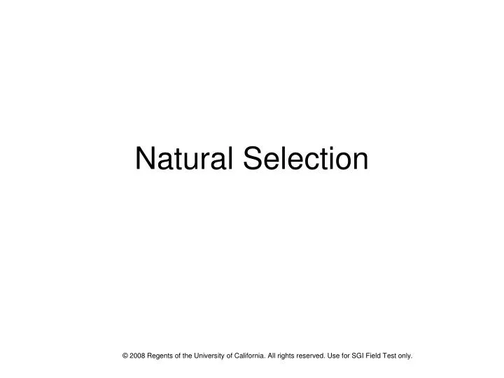natural selection n.