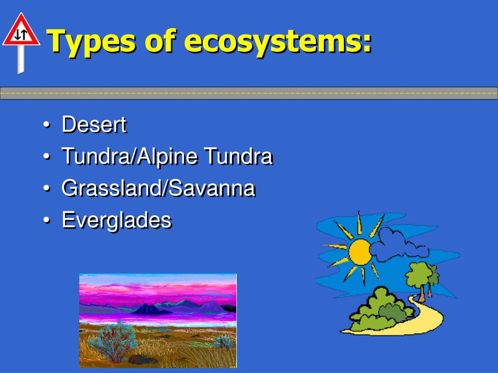 PPT Academic Raceway Lesson Ecosystems and Biomes PowerPoint