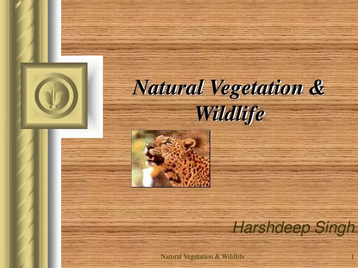 powerpoint presentation natural vegetation and wildlife