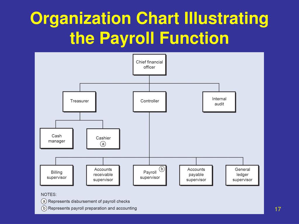 accounting department organizational chart