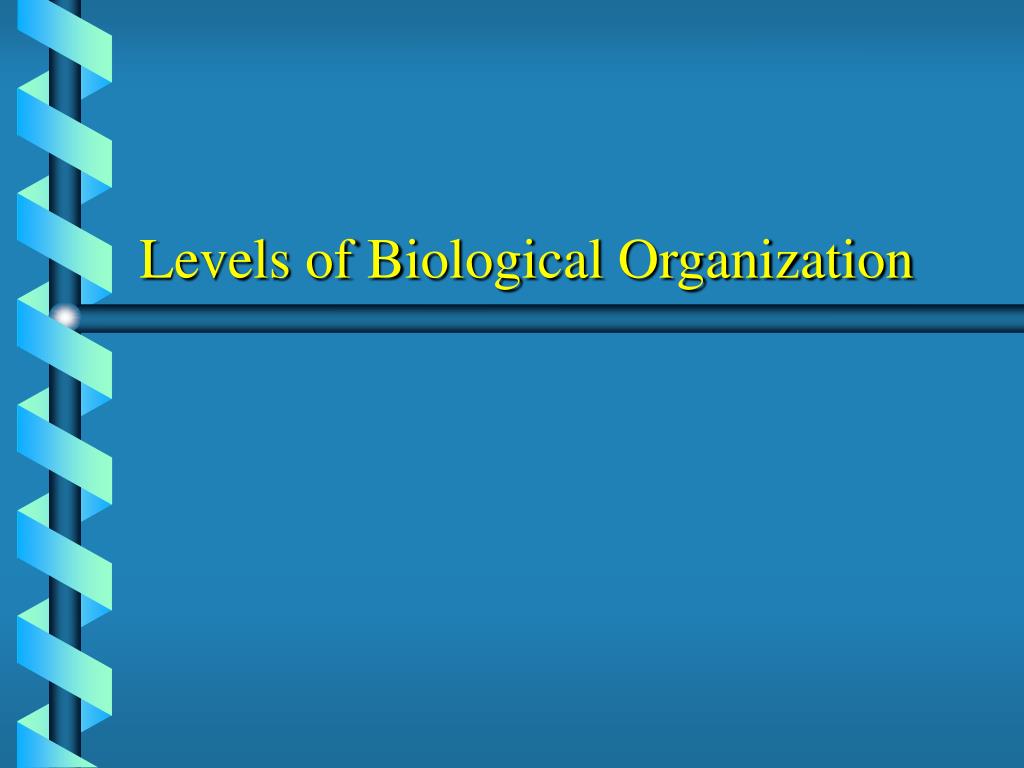 presentation of biological organization